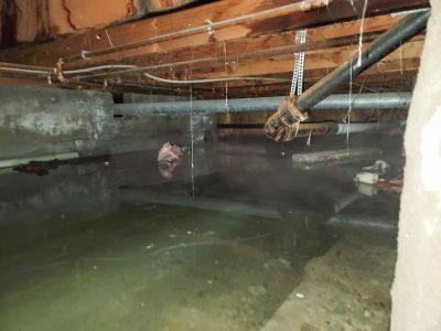Affordable Crawl Space Service Cost — Cost of Crawl Space Service